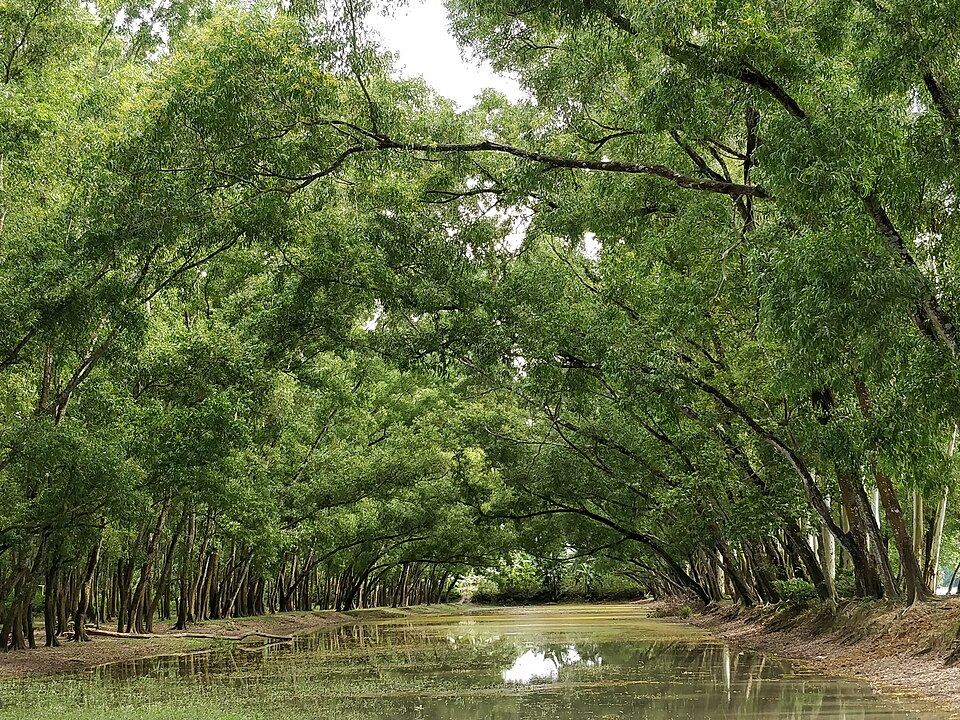 Altadighi National Park