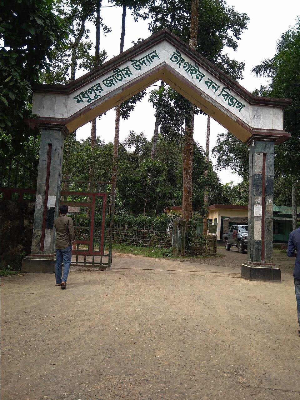 Madhupur National Park
