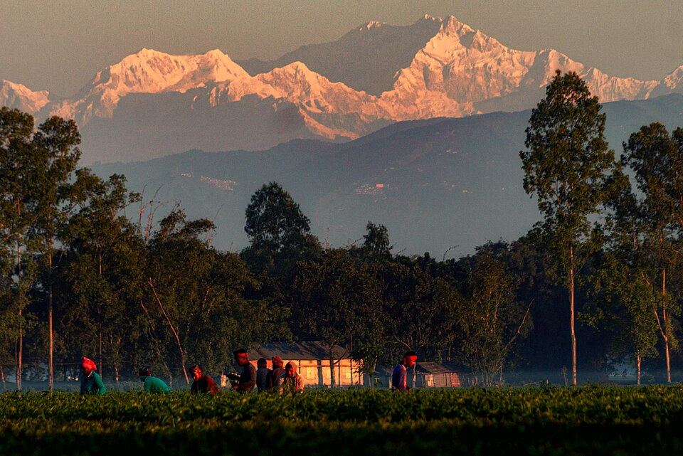 Panchagarh